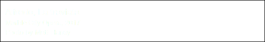 Alfredo, La traviata Marble City Opera, 2017 Photo by Matt Haney